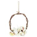 Floristik24 Anillo decorativo marítimo con caracoles y conchas marinas - blanco natural, Ø 25 cm - perfecto para decoración de inspiración costera