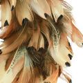 Floristik24 Corona de plumas plumas reales corona de plumas de faisán marrón Ø24cm