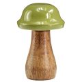 Floristik24 Setas de madera setas decorativas madera gris verde Ø6cm H10cm 2ud