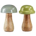 Floristik24 Setas de madera setas decorativas madera gris verde Ø6cm H10cm 2ud