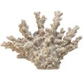 Floristik24 Decoración detallada de coral de poliresina en color gris - 26 cm - Elegancia marítima para tu hogar