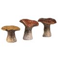 Floristik24 Set de 3 figuras decorativas de setas inspiradas en la naturaleza - diferentes tonos de marrón, 6,4 cm - acentos encantadores para el jardín y el hogar